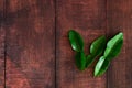 Fresh Green Kaffir Lime Leaves on wooden desk Background, ingradient for Asia`s food with copy space