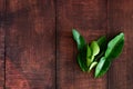 Fresh Green Kaffir Lime Leaves on wooden desk Background, ingradient for Asia`s food with copy space