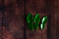 Fresh Green Kaffir Lime Leaves on wooden desk Background, ingradient for Asia`s food with copy space