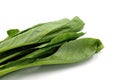 Fresh green kale leaves on white background