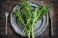 Fresh Green Kale on plate. Healthy eating concept