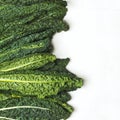 Fresh Green Kale on white background Royalty Free Stock Photo