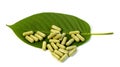 Fresh green Kratom leaves and natural herbal medicine powder capsules Royalty Free Stock Photo
