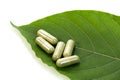 Fresh green Kratom leaves and natural herbal medicine powder capsules Royalty Free Stock Photo