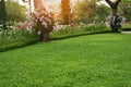 A fresh green lawn in the park, Pink Dendrobium hybrid orchid climbing on the trees and white Hollyhock field on the left Royalty Free Stock Photo