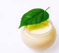 Fresh green leaf and beauty cream isolated Royalty Free Stock Photo