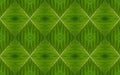 Fresh green leaf details pattern