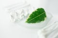 Fresh green leaf and smear beauty cosmetic with selective focus. Moisturizer, translucent loose powder, soap, facial mask