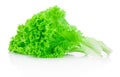 Fresh green leafs lettuce isolated on white background Royalty Free Stock Photo