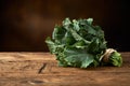 Fresh green leafy vegetable on a kitchen bench.