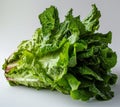 Fresh green leafy vegetables