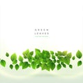 Fresh green leaves background design Royalty Free Stock Photo