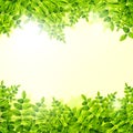 Fresh Green leaves background