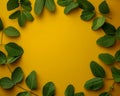 Fresh Green Leaves Forming Circular Frame on Vibrant Yellow Background Nature, Botany, Minimalist Design, Modern Floral