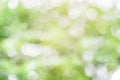 Fresh and green leaves green bokeh on nature abstract blur background Royalty Free Stock Photo