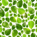 Fresh green leaves seamless background pattern