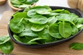 Fresh green leaves spinach