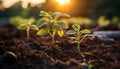 Fresh green leaves symbolize the growth of new life generated by AI Royalty Free Stock Photo