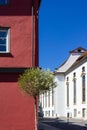 fresh green leaves tree on colorful city facades Royalty Free Stock Photo