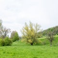 gulpdal with hiking trail in spring near slenaken in south limburg Royalty Free Stock Photo