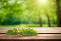 Fresh green leaves on wooden table in front of blurred nature background. Can be used for display or montage Royalty Free Stock Photo