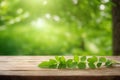 Fresh green leaves on wooden table in front of blurred nature background. Can be used for display or montage. Royalty Free Stock Photo