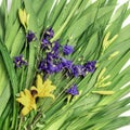 Fresh green leaves , yellow lily buds,blue bells and dew drops.Beautiful natural background Royalty Free Stock Photo