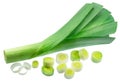 Fresh green leek stem and leek slices isolated on white background. File contains clipping path Royalty Free Stock Photo