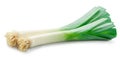 Fresh green leek stems isolated on white background Royalty Free Stock Photo