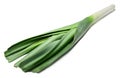 Fresh green leek on white isolated background. Royalty Free Stock Photo