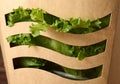 Fresh green lettuce in cartoon box close-up