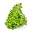 Fresh green lettuce isolated on white background Royalty Free Stock Photo