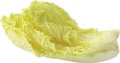 Fresh green lettuce leaf Royalty Free Stock Photo