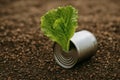 A fresh green lettuce leaf is sprouting from an open tin can, which is lying on rich, brown soil. AI generated. Royalty Free Stock Photo