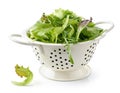 Fresh green lettuce leaves in colander Royalty Free Stock Photo