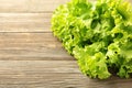 Fresh green lettuce leaves on grey wooden background. Space for text Royalty Free Stock Photo