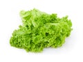 Fresh green lettuce leaves isolated on white Royalty Free Stock Photo
