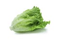 Fresh green Lettuce leaves, Salad leaf isolated on white background. Royalty Free Stock Photo