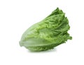 Fresh green Lettuce leaves, Salad leaf isolated on white background. Royalty Free Stock Photo