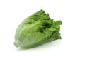 Fresh green Lettuce leaves, Salad leaf isolated on white background. Royalty Free Stock Photo