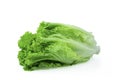 Fresh green Lettuce leaves, Salad leaf isolated on white background. Royalty Free Stock Photo