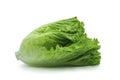 Fresh green Lettuce leaves, Salad leaf isolated on white background. Royalty Free Stock Photo