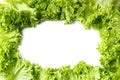 Fresh green lettuce leaves on white background, top view, copy space Royalty Free Stock Photo