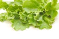 Fresh green Lettuce salad Royalty Free Stock Photo