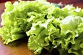 Fresh green lettuce salad - healthy food Royalty Free Stock Photo