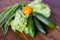 Fresh green lettuce salad - healthy food Royalty Free Stock Photo