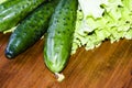 Fresh green lettuce salad - healthy food Royalty Free Stock Photo