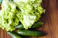 Fresh green lettuce salad - healthy food Royalty Free Stock Photo