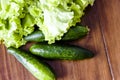 Fresh green lettuce salad - healthy food Royalty Free Stock Photo