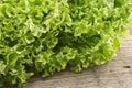 Fresh green lettuce salat on wooden background. Healthy food Royalty Free Stock Photo